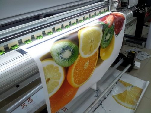 Decal PP được in ấn sắc nét